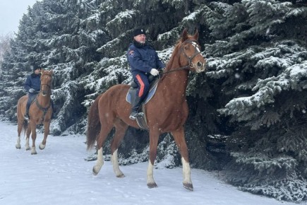 �� ���� ������� ����� ������������ ������������� ������������ �� ����� ���������� � ��������� ������� ���������