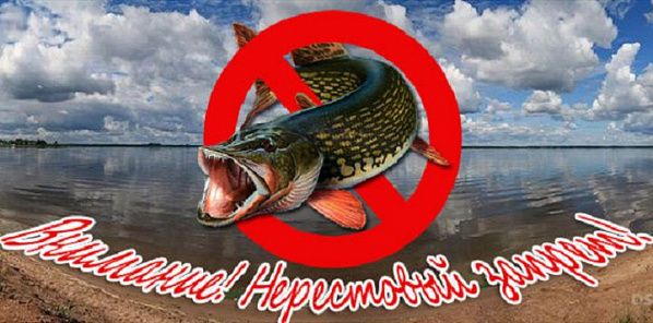 � ���������� ������� �������� ���������� ������ �� ������ �����