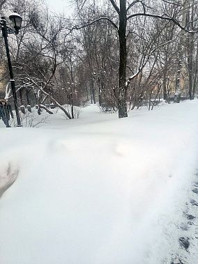 ������ �� ������