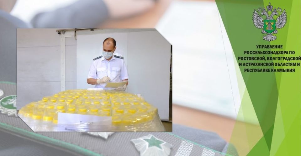 �� ���������� ������� �������������� � ������� ����� 25 � ���� � �������� ���������