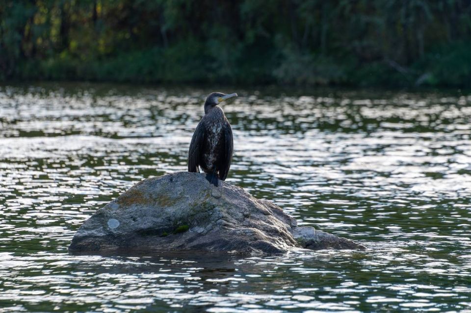 ��� ������ ������� � ���������� �������, ��������� ������