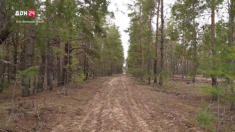 ������ �� ������������������