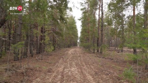 ������ �� ������������������