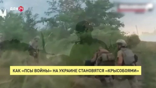ВСЕ КАК ЕСТЬ. Как «Псы войны» на Украине становятся «Крысобоями»