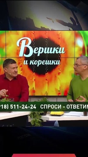 Как защитить семена от болезней?