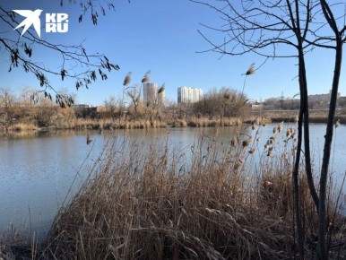 � ������������ ���� ����������� ������� �����: ���� ������������ ����� �������