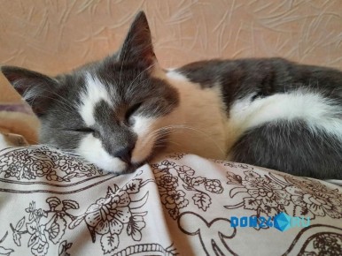 �� ��� ��� ������ ����: ������� ���������� ����������, ��� �� �������� ��������� ����� �� ������