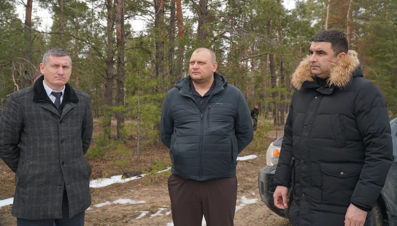 На Дону в 2026 году проведут посадку лесных культур на площади в 1350 га