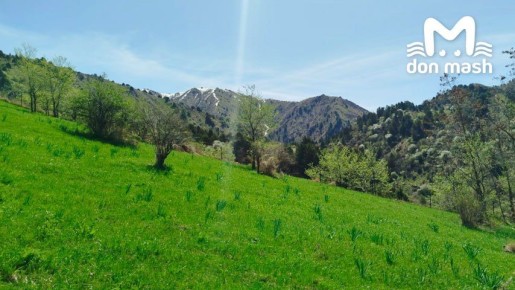 ������ ���������� �� � �����������, ��? ��� ������� � ����� ����� �������� ������ �������� � �����