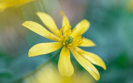 �������� ���������� �� +13 �� ����� � ���������� ������� �� ��������� ����