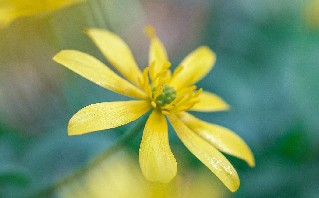 Весеннее потепление до +13 °С придёт в Ростовскую область на несколько дней