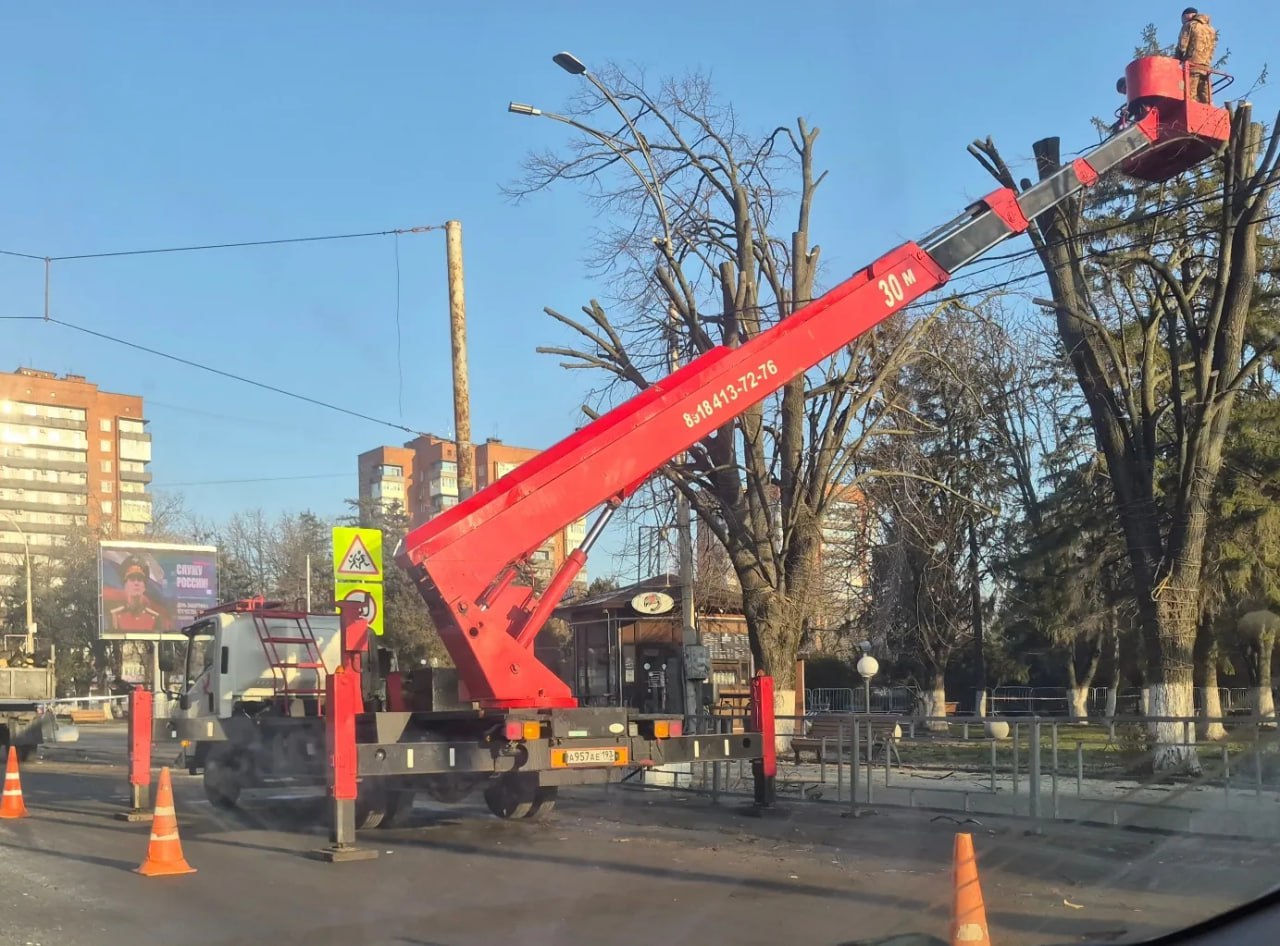 Работы по кронированию деревьев начались в Шахтах