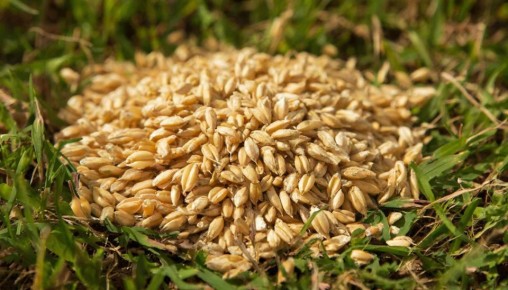 ���� ������ ���� ����� ����� � ����� ����� �������: ������� �� 3 �����