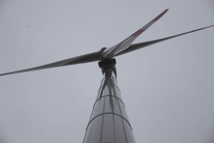 ����������� ���������� � �������� � ��������������� ����������� �������� �������� ������������ �� ����