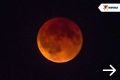 Россияне увидят «червивую кровавую Луну»: Она закроет коридор затмений