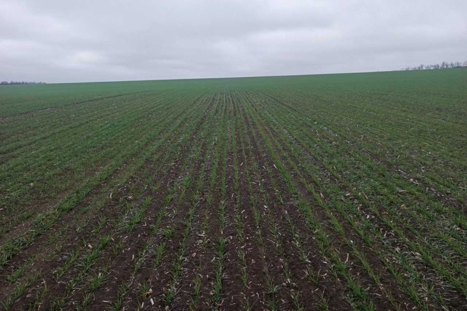 �� ���� ���������� ����� ��������� ��������������� ��������� ���������������������������