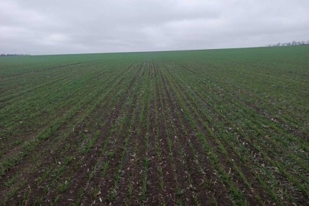 �� ���� ���������� ����� ��������� ��������������� ��������� ���������������������������