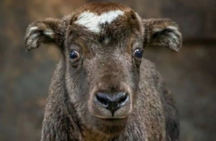 � ���������� �������� ������� ����� �����