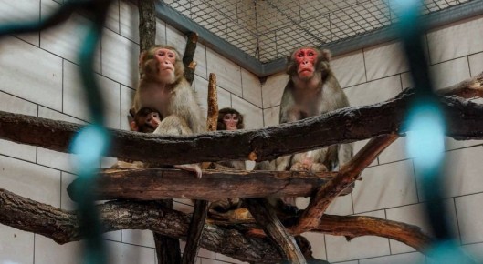 � ���������� ������� ��������� �������� ����� �� ��������� ����