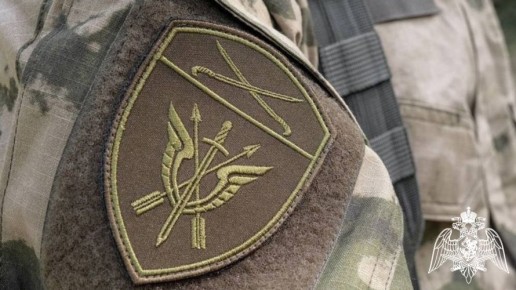 Росгвардейцы помогли задержать подозреваемых в вооруженном нападении на домовладение в Ростовской области