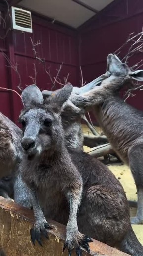 ������ ����, ������! �������� �� �������������� ������� �����, ����� � ������ ����, ������� ��������� ������ ������� �� ����� ���� �������� � ������ ���������