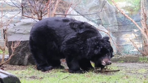 ����� ������� ������� ���� �������� � ���������� ��������