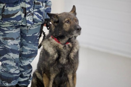 � ���������� ������� ����������� ��������� �� ������ ��������� ������ ���