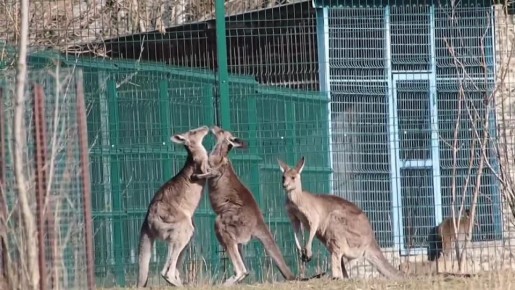 ������ ����, ������!. �� 8 ����� ��� ���� �����, � � ���������� �������� �����������-������� �������� ���������, �������, ���� �� ��� ������� ������� ����� (��� ��� ��� ����� �������?) ����� ���������� �����