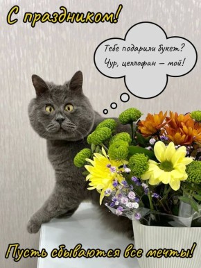 ����� ���������� ���-������ ���� ��������� � 8 ����� ������ �� ���������� �������