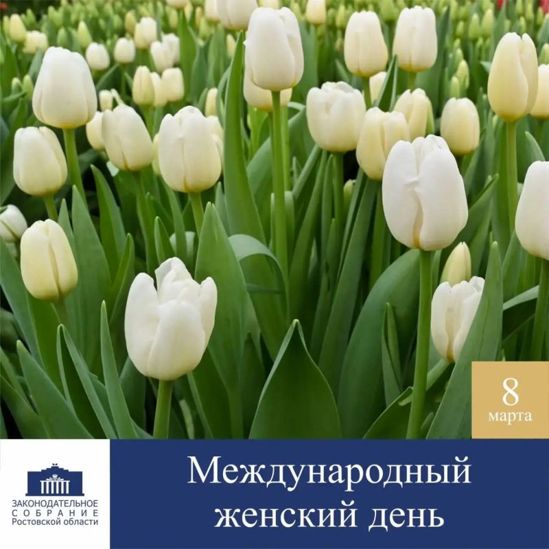 ������� �������!. ����������� ��� ������������� ������� ����! 8 ����� � ��������, ������� ��������� ������ �������� �����������, ������ ����������, �������� � ��������