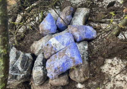 12 килограммов мефедрона обнаружили в лесном массиве Кагалицкого района, сообщили в МВД по Ростовской области