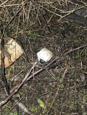 Оперативники города Шахты пресекли попытку сбыта наркотиков через тайники