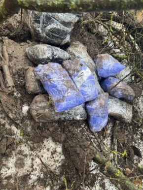 � ������������ ������ �������� ������������ � 12 �� ����������