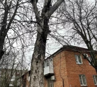 �� ��. 40-����� ������ ������ �������� ����� � �������� ���������� �������