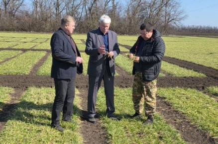 ����������� ������������ �������� ���������� � ������������ �������� �� �������� �������� �������� ��������� � ������������� ������ ������� ������� ���� ������������ ��������� �������� ������ ��������