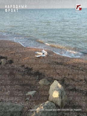 115 �������� �� �������� ���� ��������� � ���������� "�����.��"