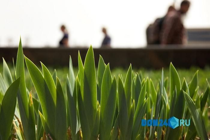 ������� ��������������� ������� ��������� ��� ��������� �������