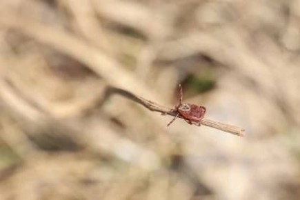 ����� ������, � ������ � ��� � �� ����� �������� ������� � �����