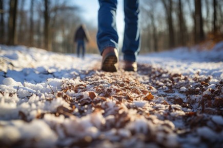 ������ � ������� ������� ������������ �� ����� ����� �������� �� �������� ������