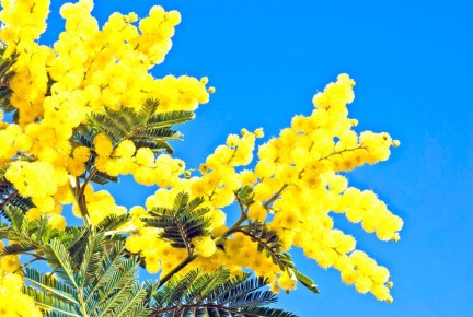 ��� ����� �������� � ���� ����