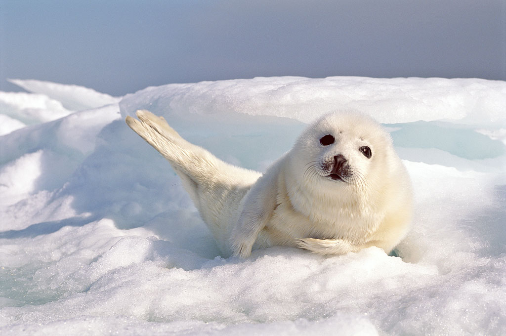 Что можно отметить в этот день