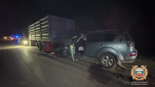 14 марта 2026 года в 19 часов 10 минут на автодороге «Цимлянск — Суровикино», водитель 1962 года рождения, управляя автомобилем «Мицубиси Аутлендер XL», не выбрал безопасную скорость для движения в конкретных дорожных...