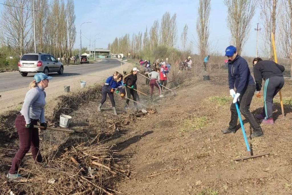 1 Весенний месячник чистоты стартует в Ростовской области