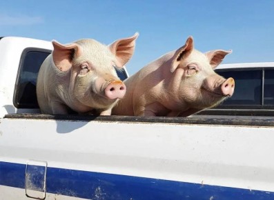 � ���������� ������� ��������� ������ � ������� ���������� �������� ��� ������������ ���������������� ����������