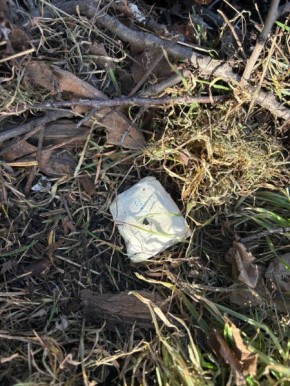 ���������� ����������� �������� ���� ������������ �������� � ��������� �������������