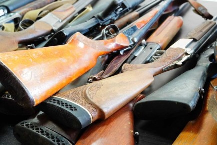 ������� ������ �������� �� ������������ ����� ������