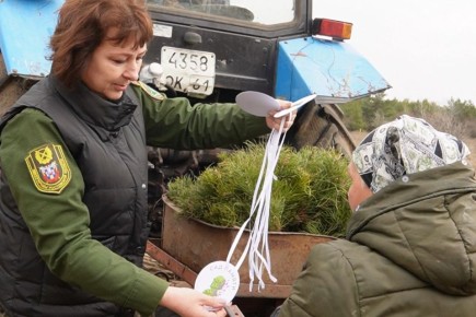 �� ���� � ������ � ������ �������� � ���� ��� ������� ������