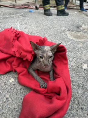 � ������� ���� 18 ����� �������� � ��������: � ����������� �� �������� �������� ����� 83-������ �������