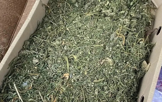 В Кашарском районе полицейские задержали подозреваемого в незаконном хранении наркотиков