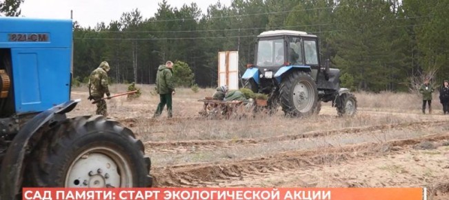 «Сад памяти»: экологическая акция стартовала на Дону